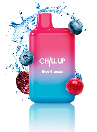 Chill Up 4000 Черника Гранат