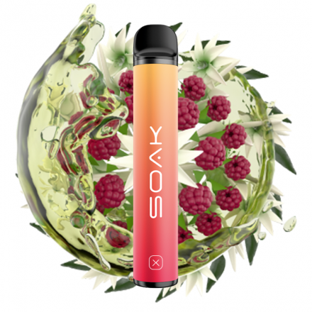 Одноразка soak 1500 затяжек (малиновый чай с жасмином)