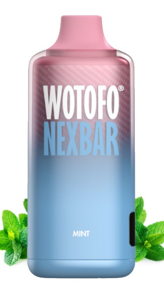 Одноразка Wotofo 10000 Затяжек Холодная мята