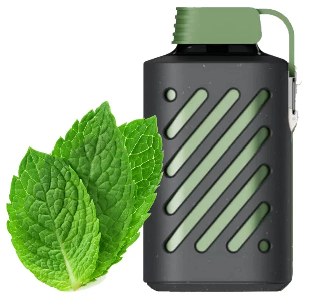 Vozol 10000 Мята