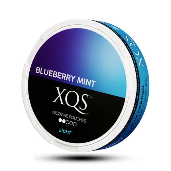 Снюс XQS Blueberry Mint Light